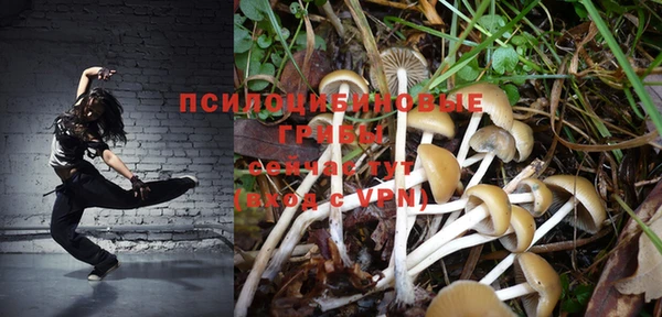 гашиш Аркадак