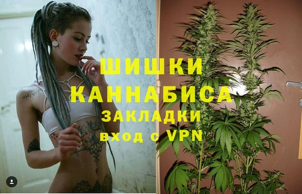 меф Арсеньев