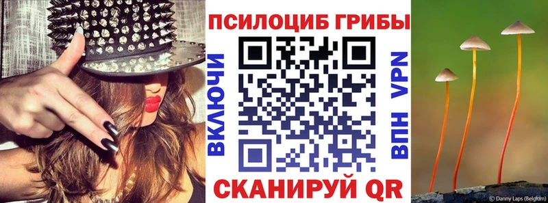 mega ССЫЛКА  Оса  Галлюциногенные грибы Magic Shrooms  где купить наркоту 
