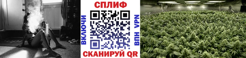 Шишки марихуана тримм  kraken рабочий сайт  Оса 